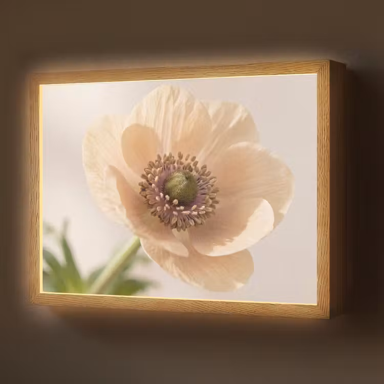 Bloem - Minimalistisch - Groen Light Box met batterij (Wandlamp) middel -z3d_website