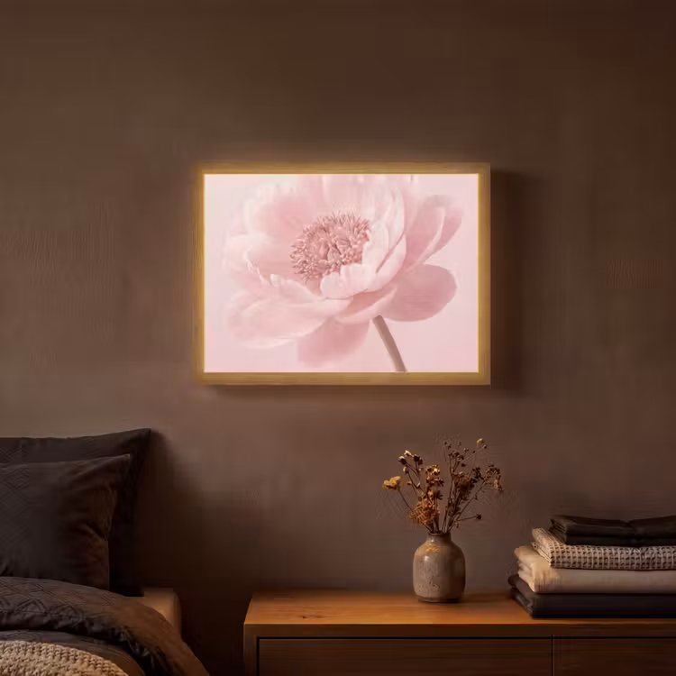 Bloem - Pioenroos - Roze Light Box met batterij (Wandlamp) middel -sfeer4