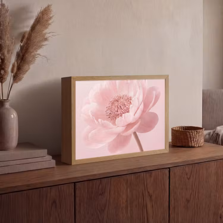 Bloem - Pioenroos - Roze Light Box met batterij (Wandlamp) middel -sfeer2