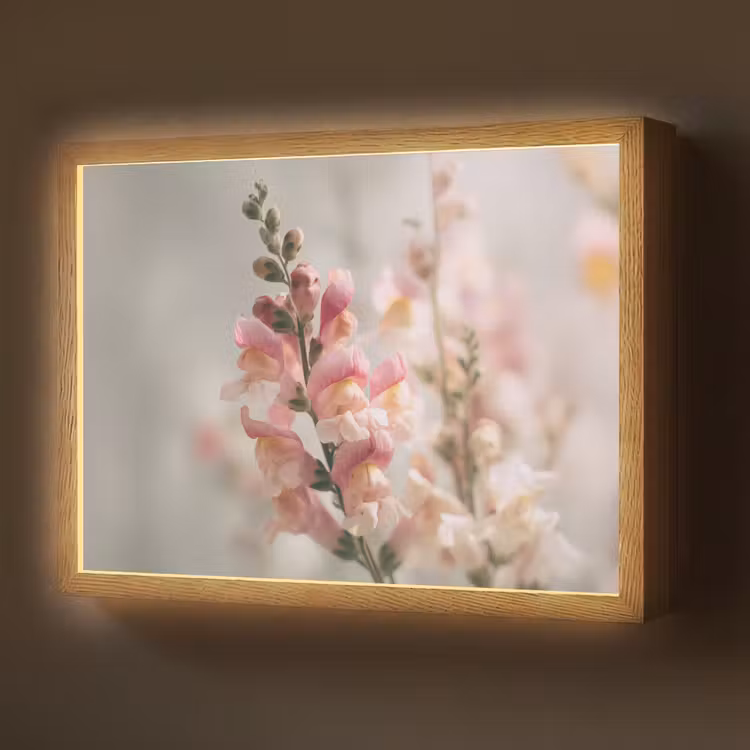 Bloem - Leeuwenbek - Roze - Stengel Light Box met batterij (Wandlamp) middel -z3d_website