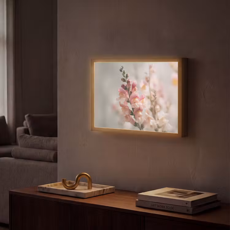 Bloem - Leeuwenbek - Roze - Stengel Light Box met batterij (Wandlamp) middel -sfeer1