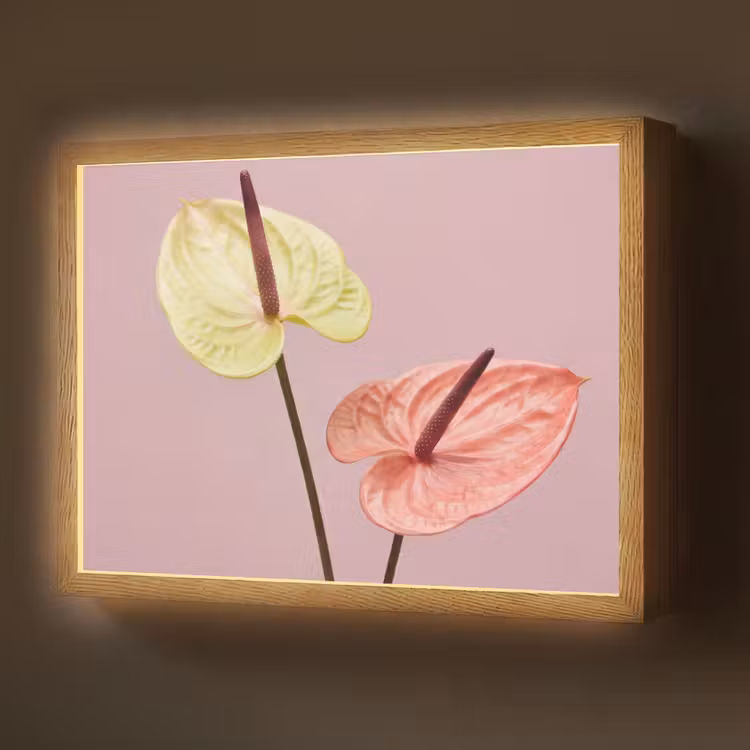 Bloemen - Anthuriums - Geel - Roze Light Box met batterij (Wandlamp) middel -z3d_website