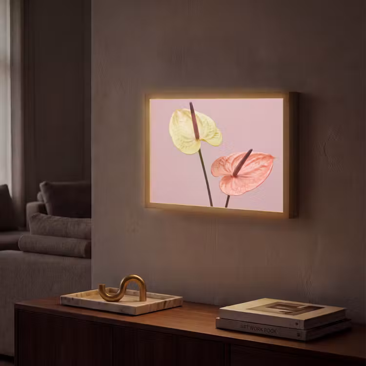 Bloemen - Anthuriums - Geel - Roze Light Box met batterij (Wandlamp) middel -sfeer1