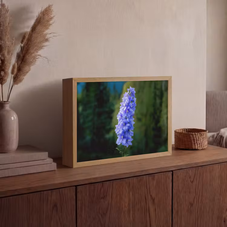 Bloemen - Blauw - Dennenboom Light Box met batterij (Wandlamp) middel -sfeer2