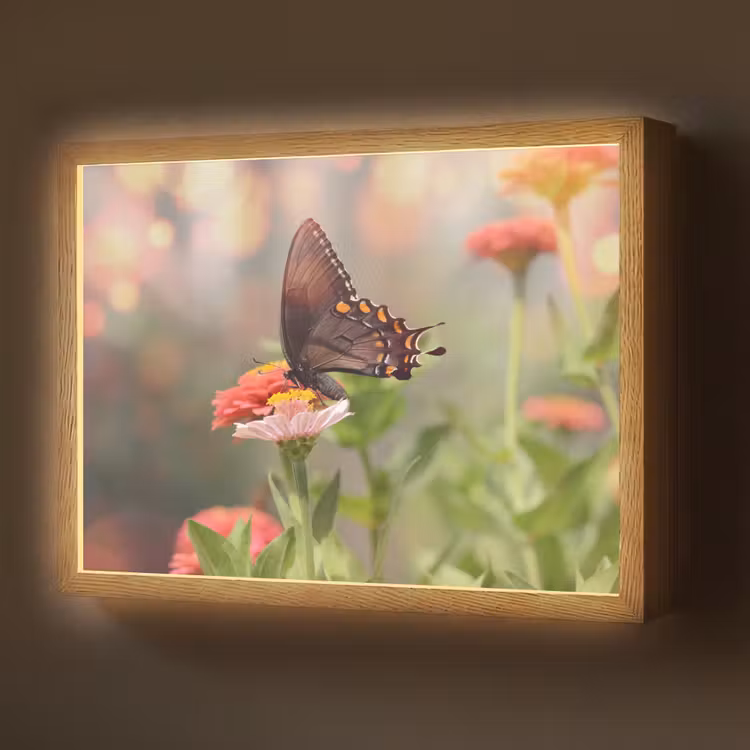 Bloemen - Vlinder - Natuur - Bloem Light Box met batterij (Wandlamp) middel -z3d_website