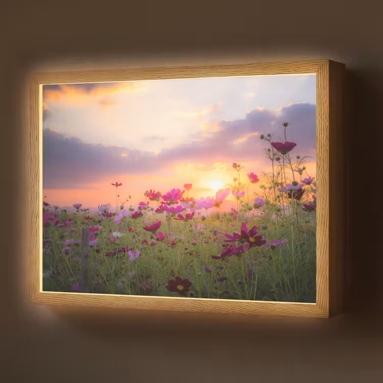 Bloemen - Roze - Zonsondergang - Natuur - Weide - Horizon Light Box met batterij (Wandlamp) middel -z3d_website