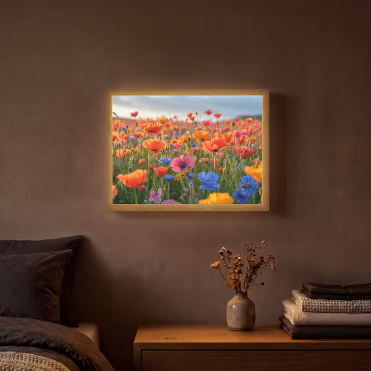 Bloemen - Klaprozen - Kleurrijk - Natuur Light Box met batterij (Wandlamp) middel -sfeer4