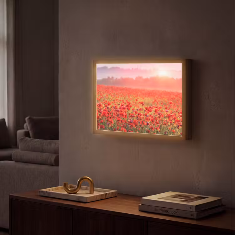 Bloemen - Klaprozen - Rood - Bloemenveld Light Box met batterij (Wandlamp) middel -sfeer1