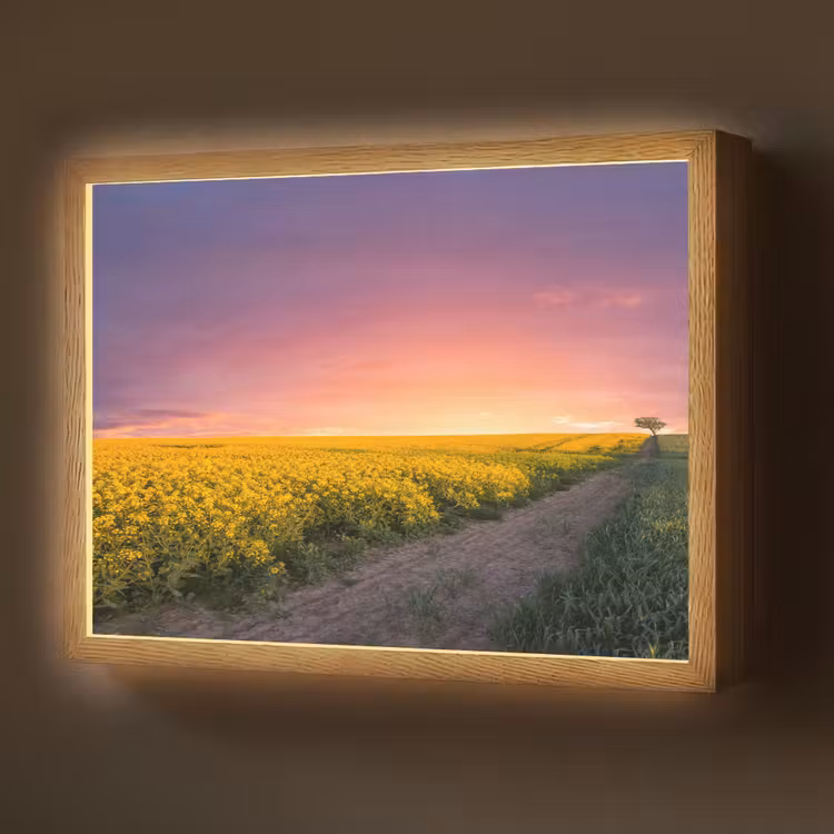 Bloemen - Weg - Lucht - Geel - Paars - Zonsondergang - Natuur Light Box met batterij (Wandlamp) middel -z3d_website
