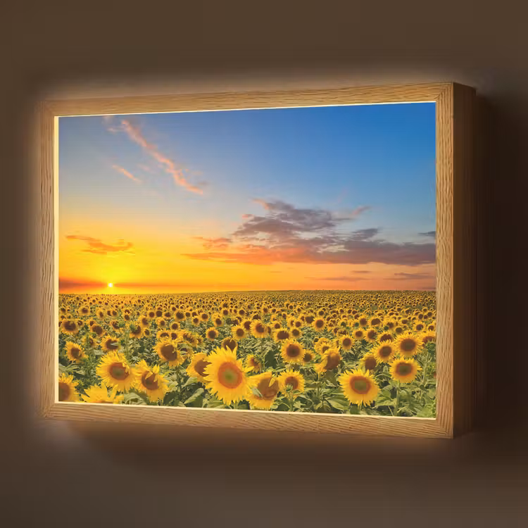 Bloemen - Zonnebloem - Zonsondergang - Nacht - Oranje Light Box met batterij (Wandlamp) middel -z3d_website