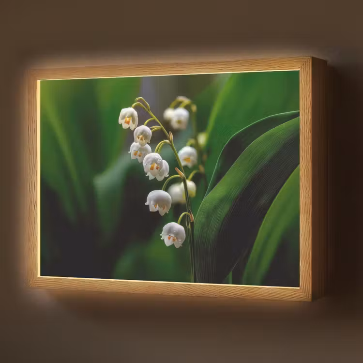 Bloemen - Wit - Bladeren - Lelietjes Light Box met batterij (Wandlamp) middel -z3d_website