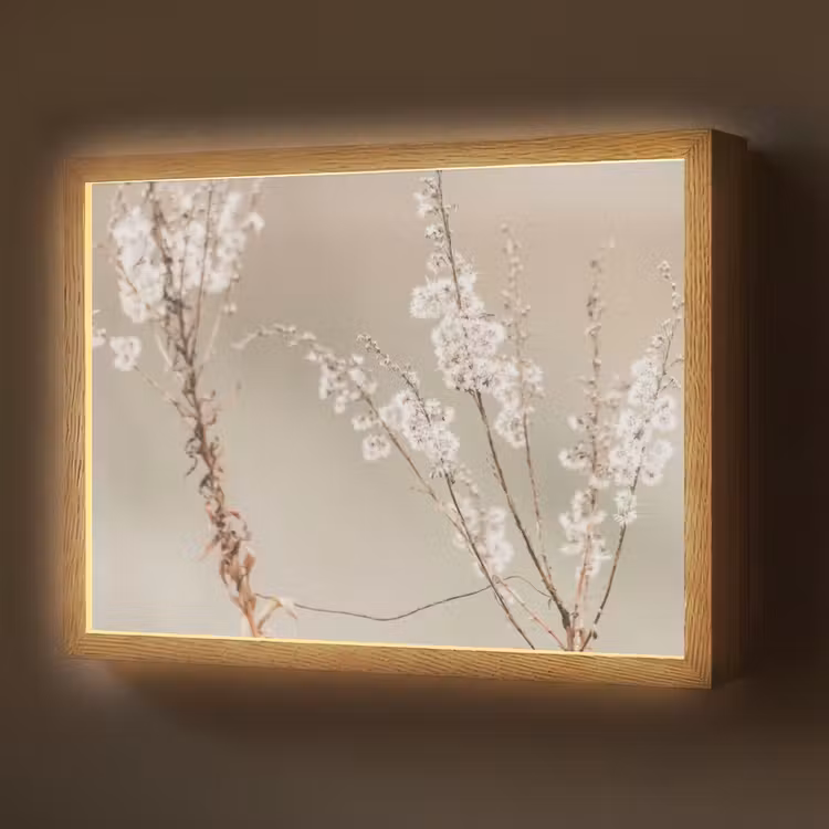 Bloemen - Wit - Planten Light Box met batterij (Wandlamp) middel -z3d_website