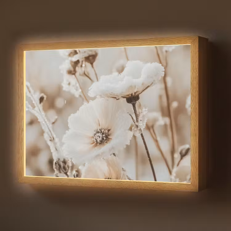 Bloemen - Winter - Wit - Sneeuw - Beige Light Box met batterij (Wandlamp) middel -z3d_website