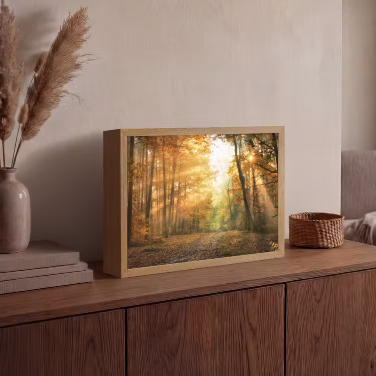 Bos - Herfst - Zon - Landschap - Natuur - Bomen - Bladeren Light Box met batterij (Wandlamp) middel -sfeer2