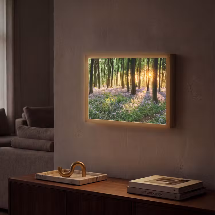 Bos - Bloemen - Lavendel - Zon - Paars - Natuur Light Box met batterij (Wandlamp) middel -sfeer1