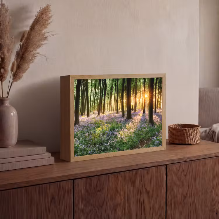 Bos - Bloemen - Lavendel - Zon - Paars - Natuur Light Box met batterij (Wandlamp) middel -sfeer2