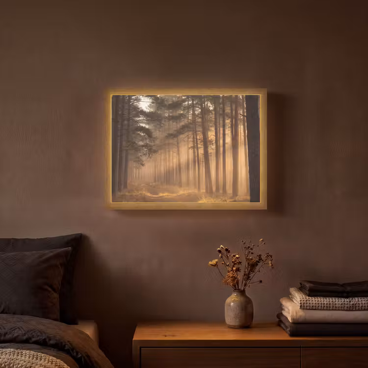 Bos - Mist - Zonlicht Light Box met batterij (Wandlamp) middel -sfeer4