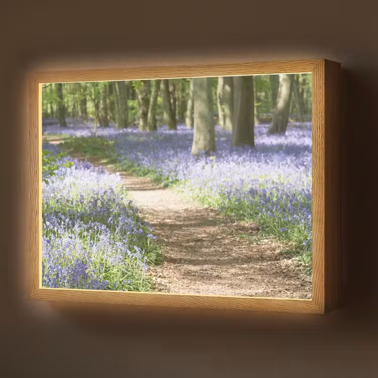 Bos - Pad - Bloemen - Paars - Groen - Natuur Light Box met batterij (Wandlamp) middel -z3d_website