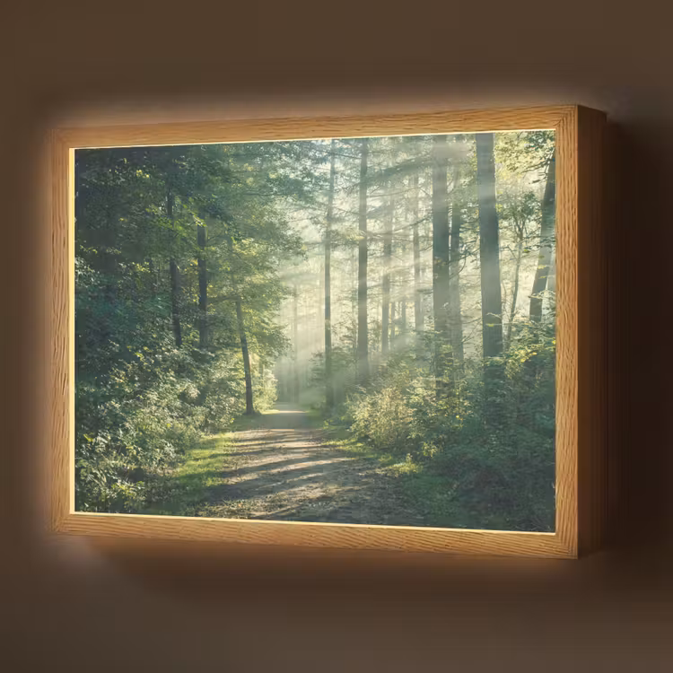 Bos - Pad - Zon - Bomen - Groen - Natuur Light Box met batterij (Wandlamp) middel -z3d_website