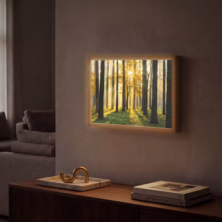 Bos - Zon - Bomen - Gras - Landschap - Natuur Light Box met batterij (Wandlamp) middel -sfeer1