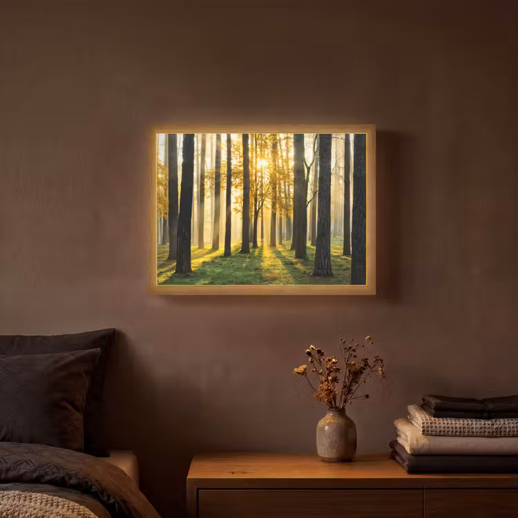 Bos - Zon - Bomen - Gras - Landschap - Natuur Light Box met batterij (Wandlamp) middel -sfeer4