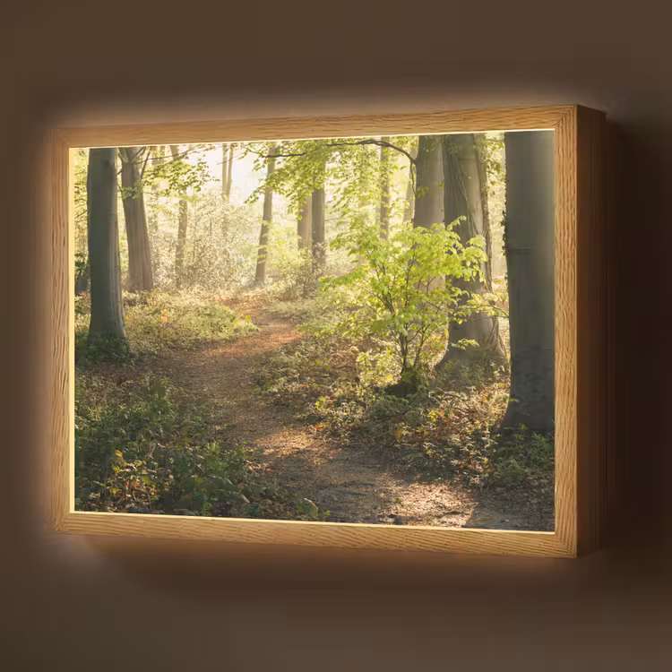 Bos - Bomen - Pad - Zon - Planten - Bladeren - Natuur Light Box met batterij (Wandlamp) middel -z3d_website