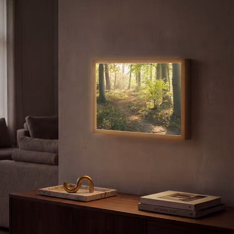 Bos - Bomen - Pad - Zon - Planten - Bladeren - Natuur Light Box met batterij (Wandlamp) middel -sfeer1