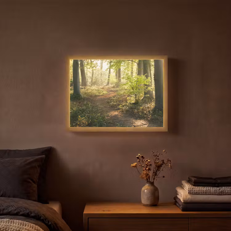 Bos - Bomen - Pad - Zon - Planten - Bladeren - Natuur Light Box met batterij (Wandlamp) middel -sfeer4