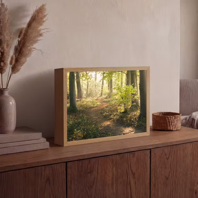 Bos - Bomen - Pad - Zon - Planten - Bladeren - Natuur Light Box met batterij (Wandlamp) middel -sfeer2