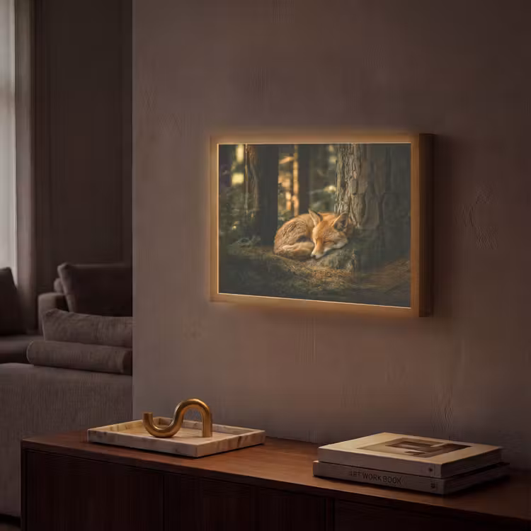 Vos - Bos - Slapen Light Box met batterij (Wandlamp) middel -sfeer1
