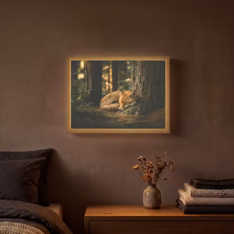 Vos - Bos - Slapen Light Box met batterij (Wandlamp) middel -sfeer4
