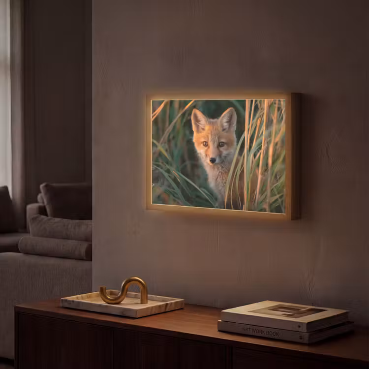Vos - Oranje - Gras Light Box met batterij (Wandlamp) middel -sfeer1