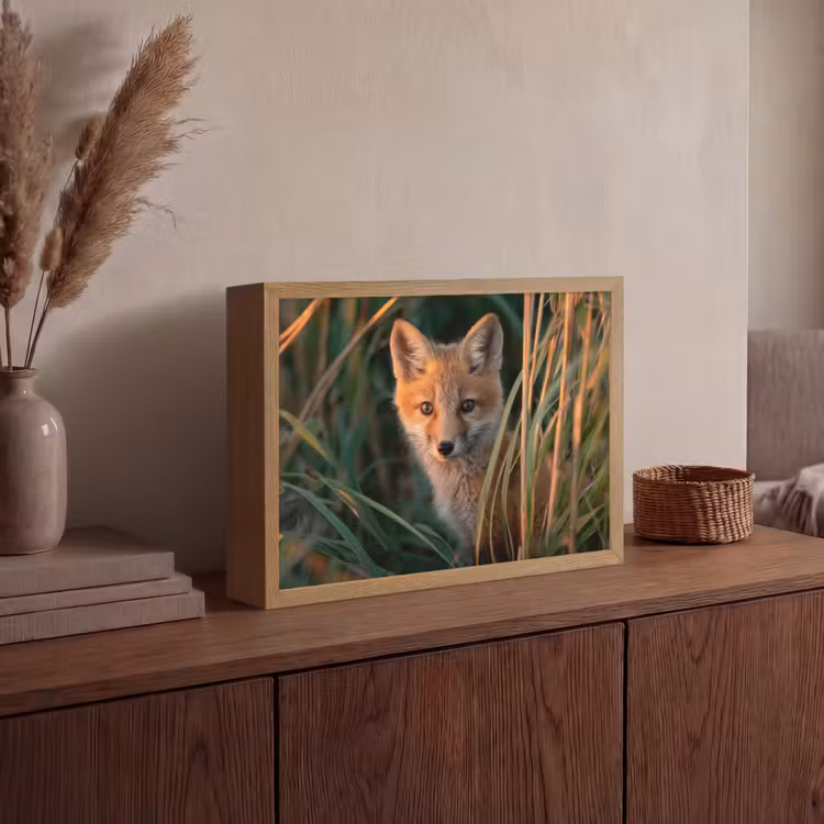 Vos - Oranje - Gras Light Box met batterij (Wandlamp) middel -sfeer2