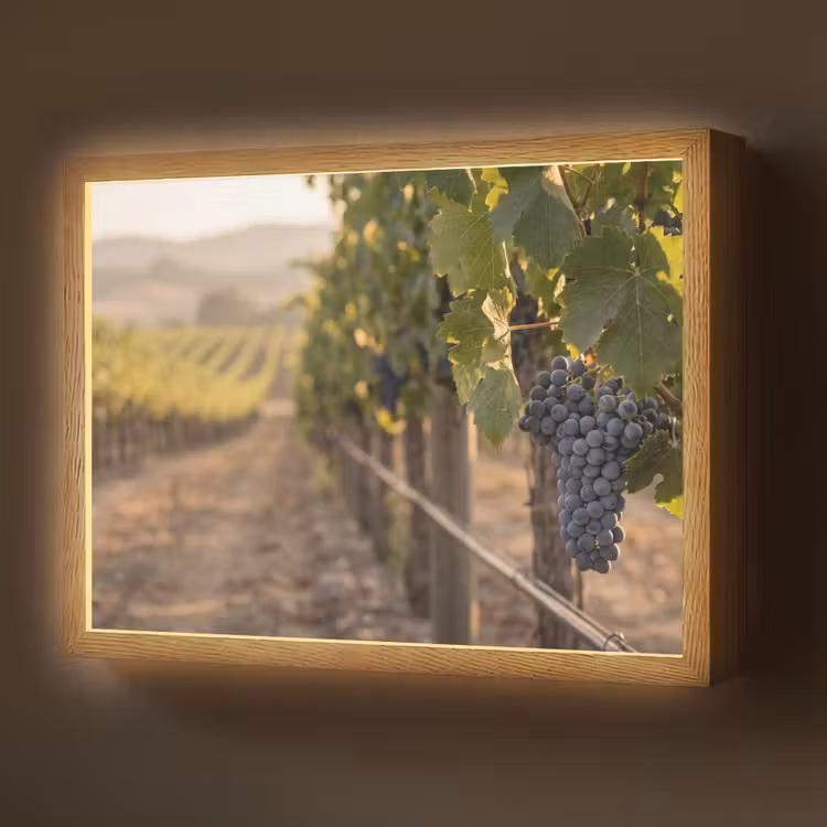 Druiven - Wijngaard - Zonlicht Light Box met batterij (Wandlamp) middel -z3d_website