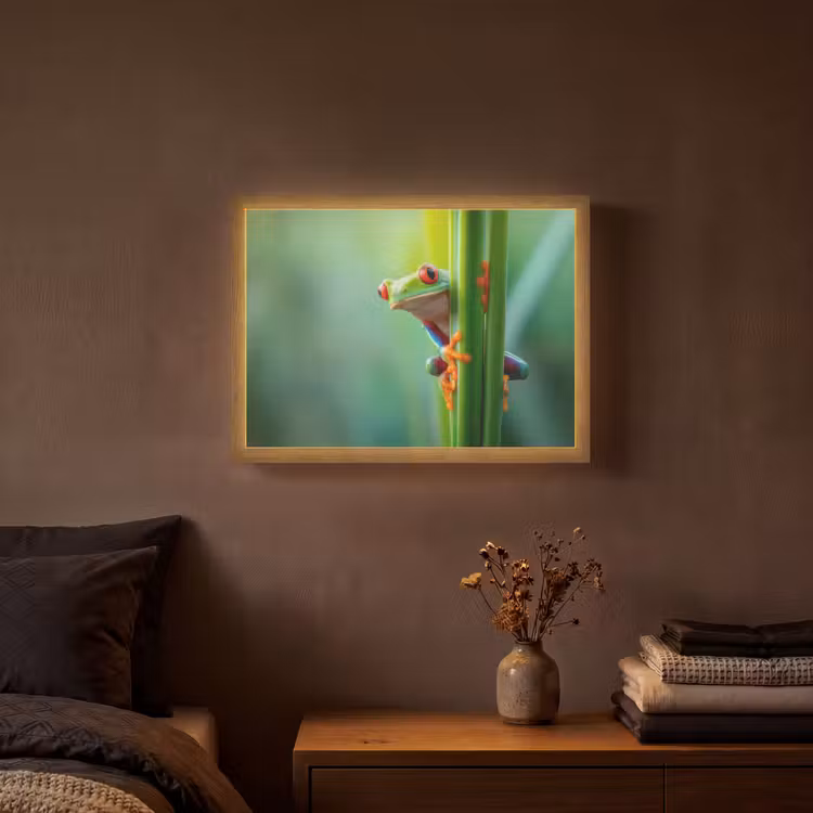 Groene kikker - Nieuwsgierig - Gras Light Box met batterij (Wandlamp) middel -sfeer4