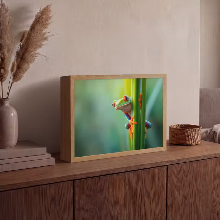 Groene kikker - Nieuwsgierig - Gras Light Box met batterij (Wandlamp) middel -sfeer2