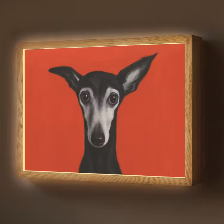 Windhond - Minimalistisch - Rood Light Box met batterij (Wandlamp) middel -z3d_website
