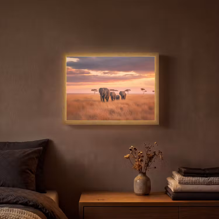 Groep olifanten - Open vlakte - Zon Light Box met batterij (Wandlamp) middel -sfeer4