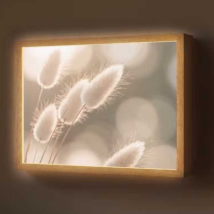 Hazestaartgras - Wit - Zonlicht Light Box met batterij (Wandlamp) middel -z3d_website