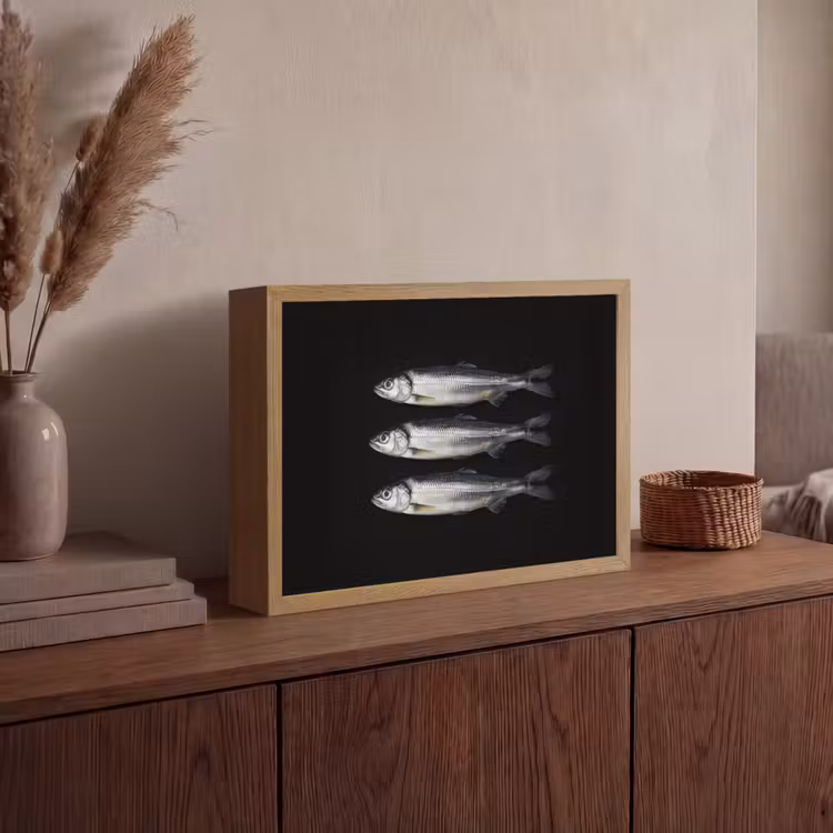 Haring - Vissen - Zwart Light Box met batterij (Wandlamp) middel -sfeer2