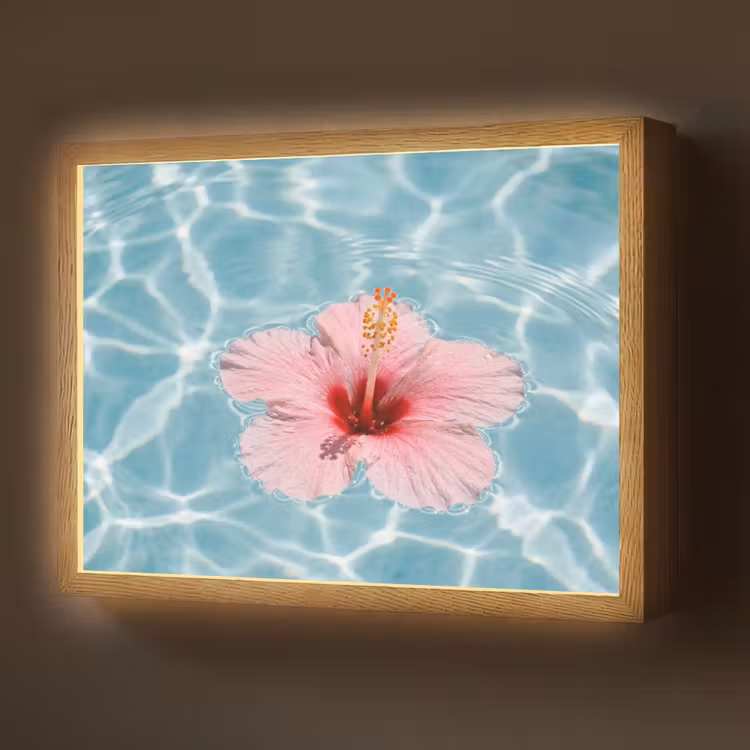 Hibiscus - Water - Roze Light Box met batterij (Wandlamp) middel -z3d_website