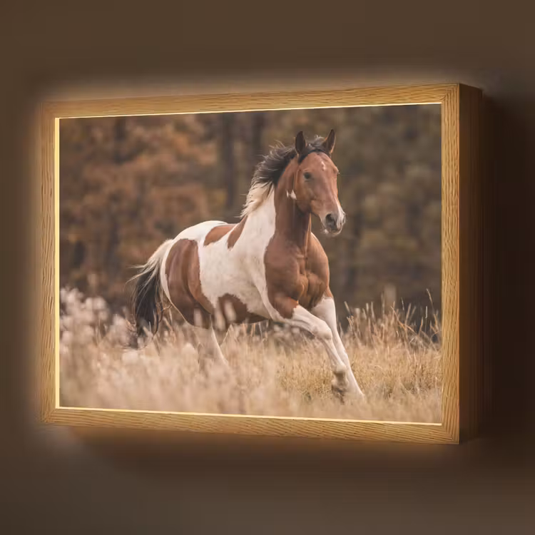 Paard - Bruin - Gras Light Box met batterij (Wandlamp) middel -z3d_website