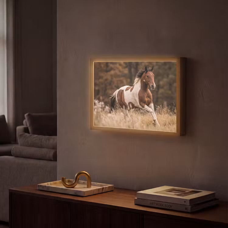 Paard - Bruin - Gras Light Box met batterij (Wandlamp) middel -sfeer1