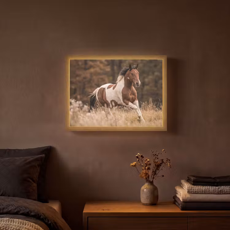 Paard - Bruin - Gras Light Box met batterij (Wandlamp) middel -sfeer4
