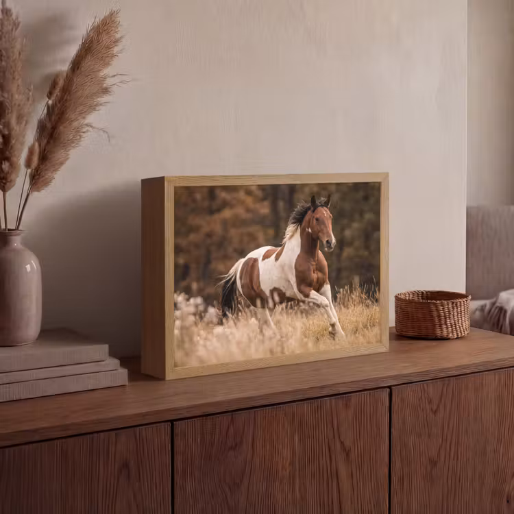 Paard - Bruin - Gras Light Box met batterij (Wandlamp) middel -sfeer2