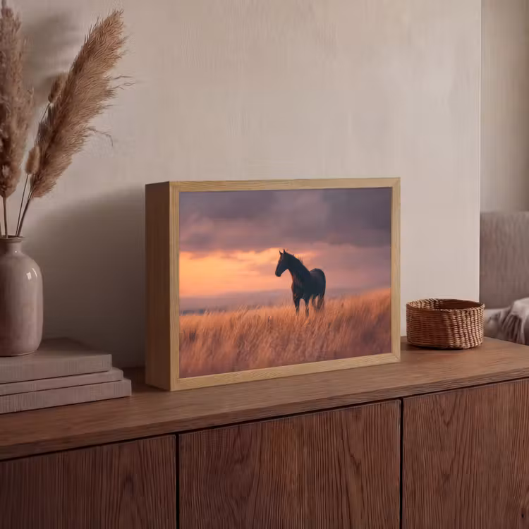 Paard - Wolken - Open veld Light Box met batterij (Wandlamp) middel -sfeer2