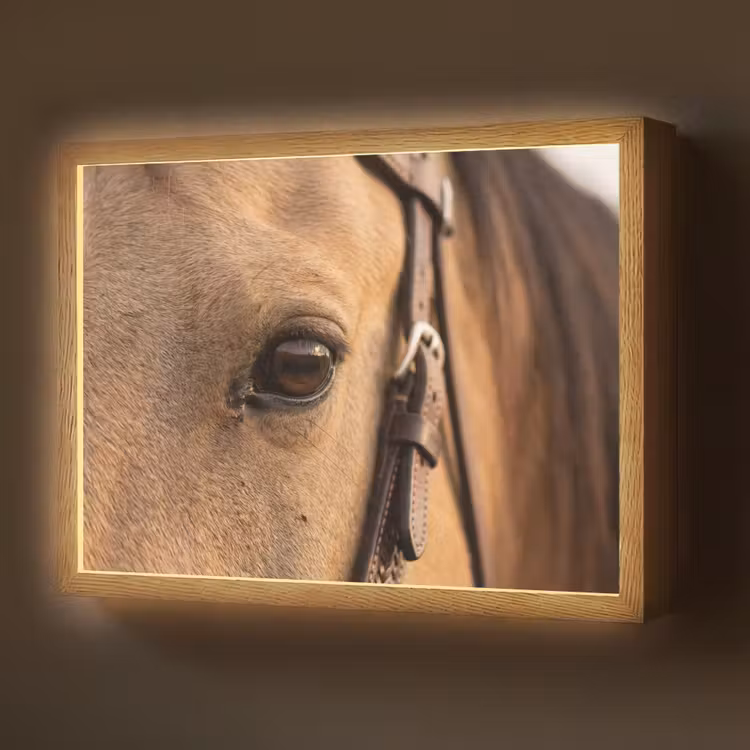 Paard - Oog - Bruin Light Box met batterij (Wandlamp) middel -z3d_website
