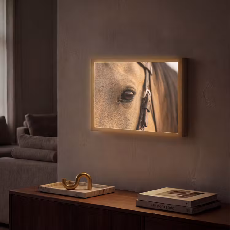 Paard - Oog - Bruin Light Box met batterij (Wandlamp) middel -sfeer1