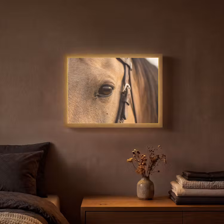 Paard - Oog - Bruin Light Box met batterij (Wandlamp) middel -sfeer4
