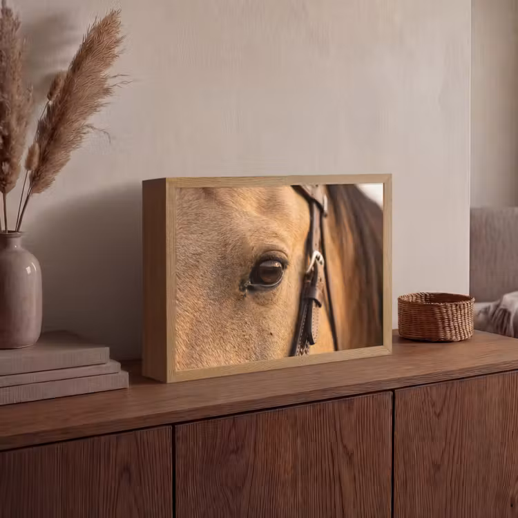 Paard - Oog - Bruin Light Box met batterij (Wandlamp) middel -sfeer2
